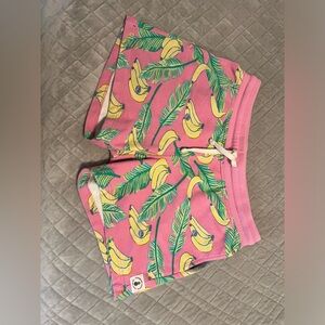 Chubbies 5.5” Shorts New With Tags